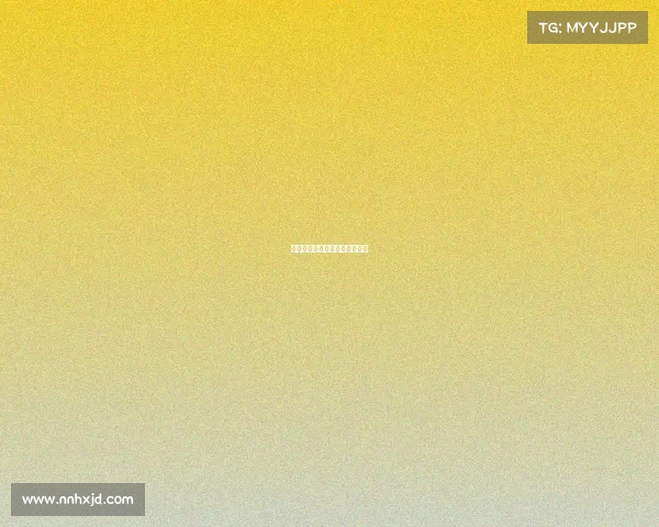 荣耀巅峰：全球顶级踢拳争霸战